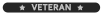 eGO Veteran - Level 2